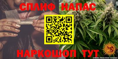 прущие грибы Балаково