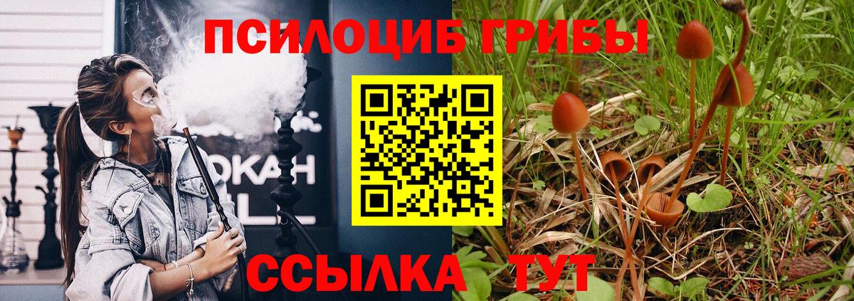 Псилоцибиновые грибы Psilocybine cubensis Богородицк
