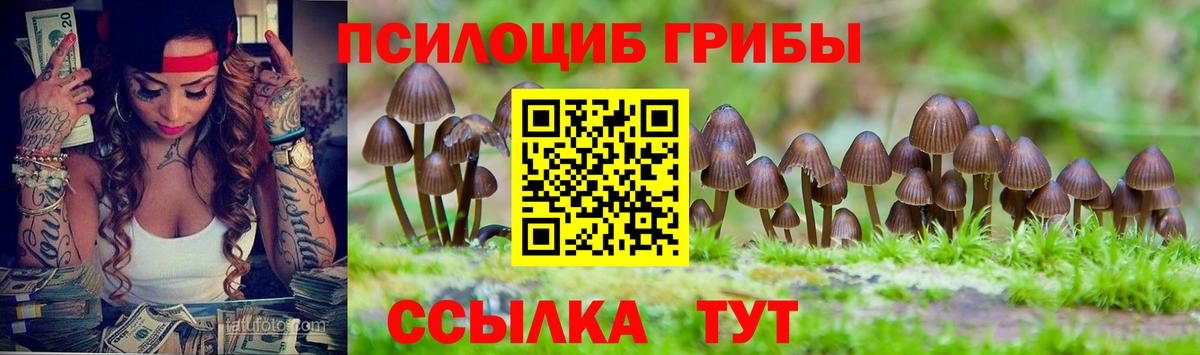 Галлюциногенные грибы MAGIC MUSHROOMS Богородицк