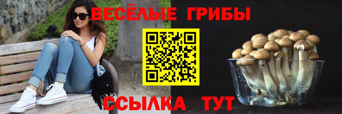 Псилоцибиновые грибы Psilocybe  Вход с VPN  Богородицк 